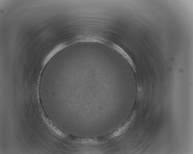 X0000085251002200703091253