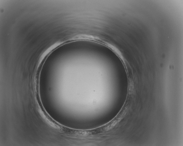 X0000085251003200703091253