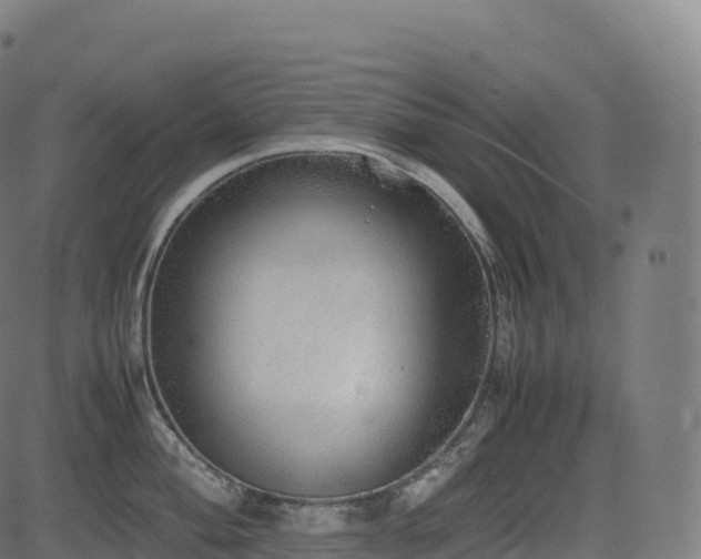 X0000085251004200703091253