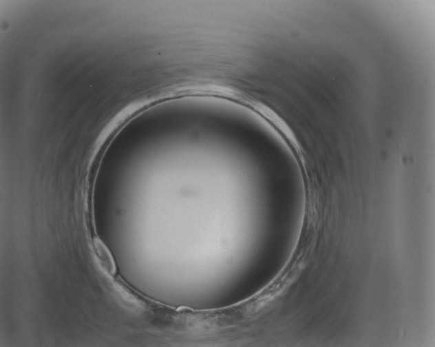 X0000085251005200703091253