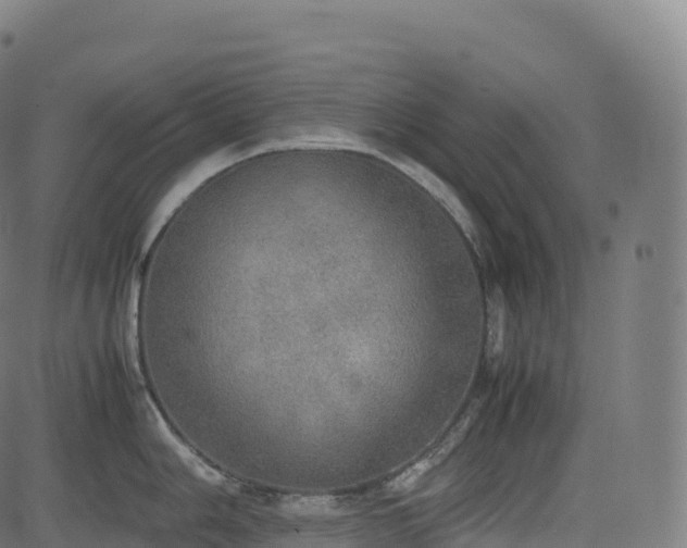 X0000085251006200703091253