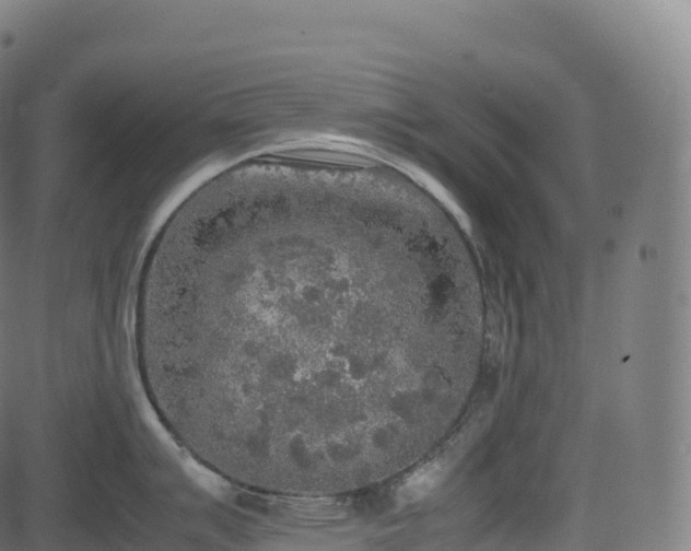 X0000085251007200703091253