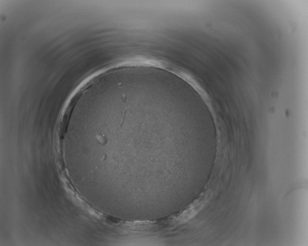 X0000085251008200703091253