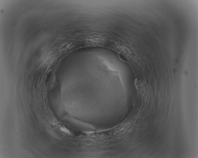 X0000085251009200703091252