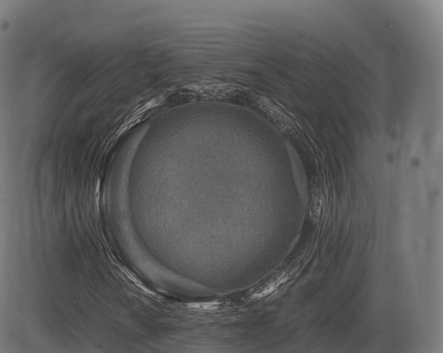 X0000085251010200703091252