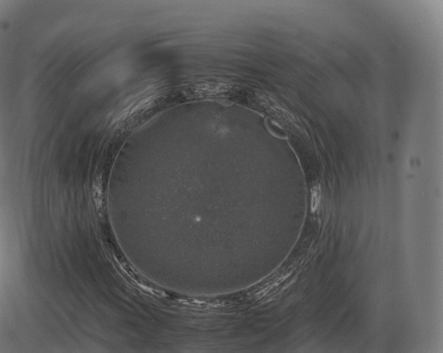 X0000085251011200703091252