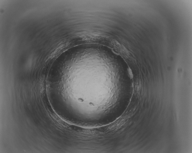 X0000085251012200703091252