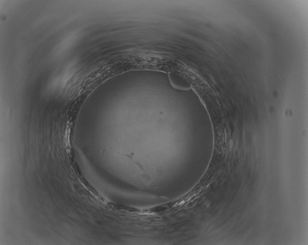 X0000085251013200703091252