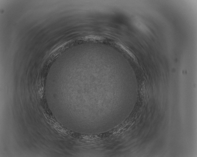 X0000085251015200703091252