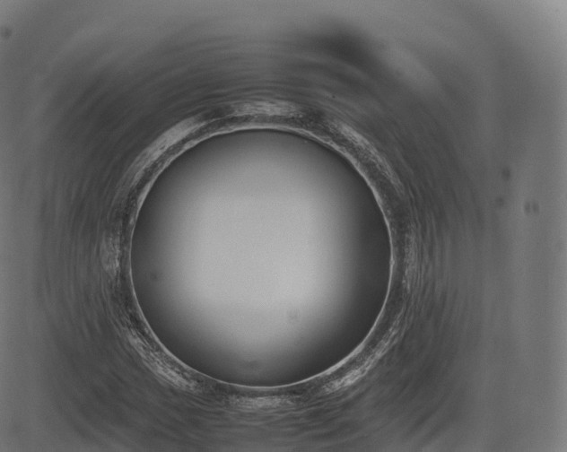 X0000085251017200703091252