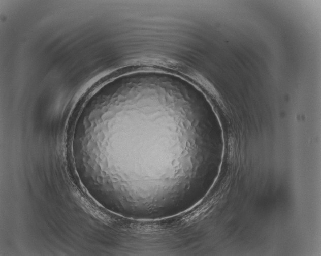 X0000085251020200703091252