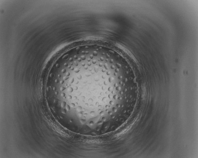 X0000085251021200703091252