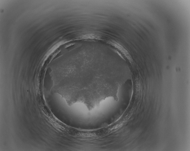 X0000085251023200703091252