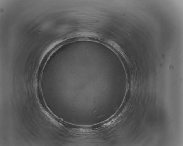 X0000085251024200703091252