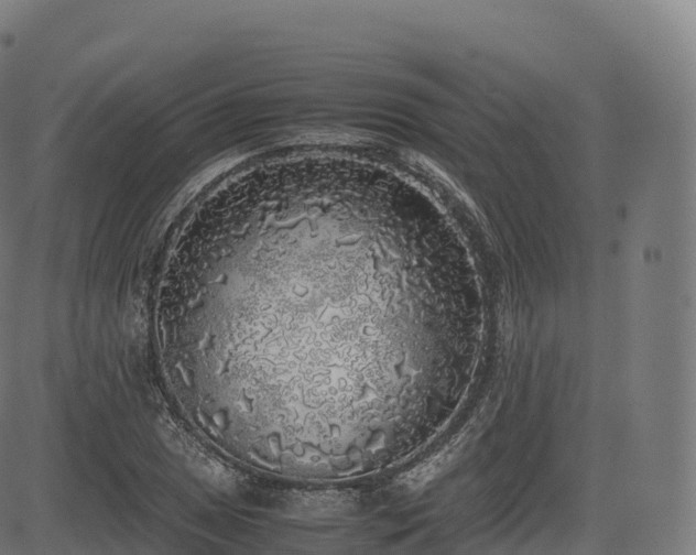 X0000085251025200703091252