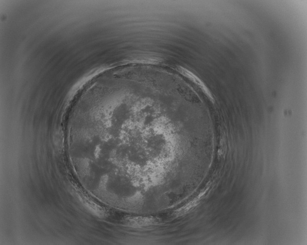 X0000085251027200703091252