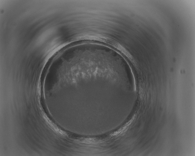 X0000085251028200703091252