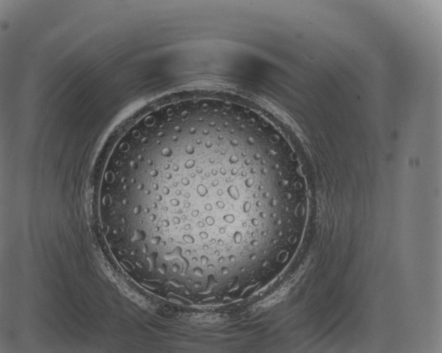 X0000085251029200703091253