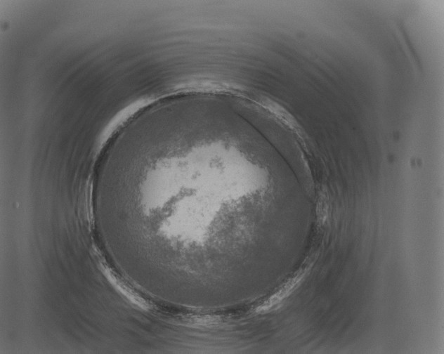 X0000085251030200703091253