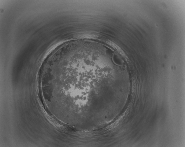 X0000085251031200703091253