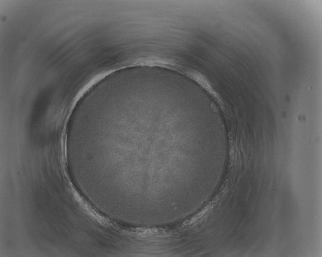 X0000085251032200703091253