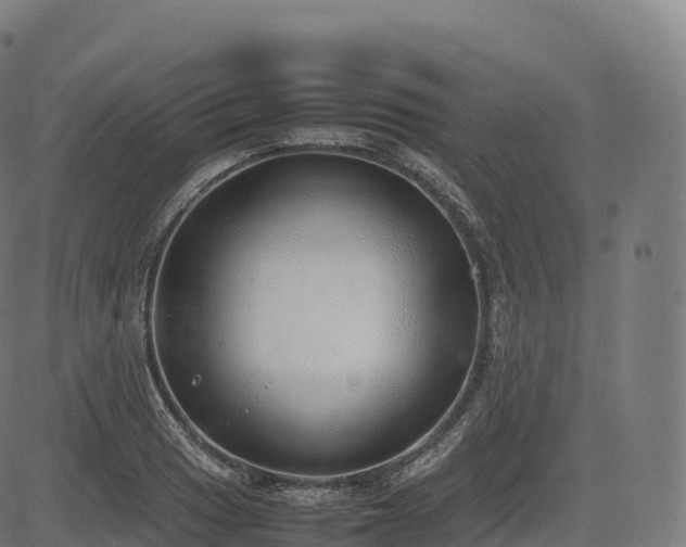 X0000085251033200703091253