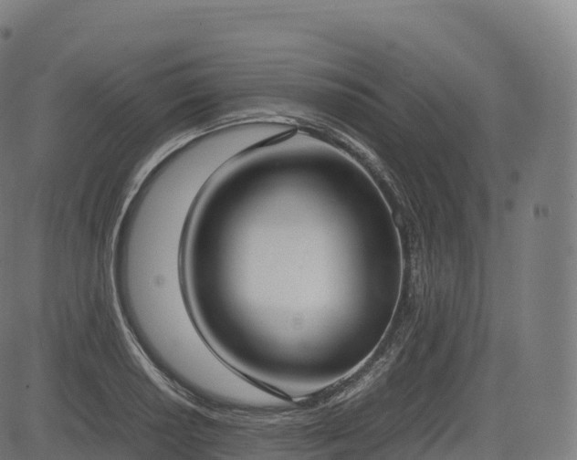 X0000085251034200703091253