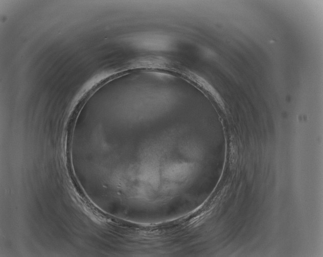 X0000085251035200703091253