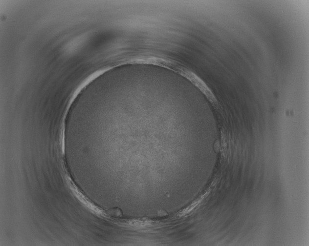 X0000085251036200703091253