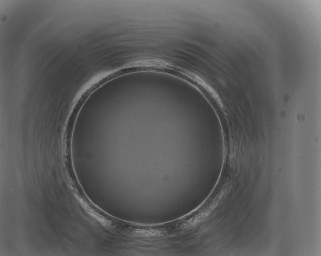 X0000085251037200703091253