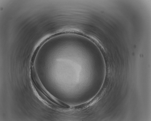 X0000085251038200703091253