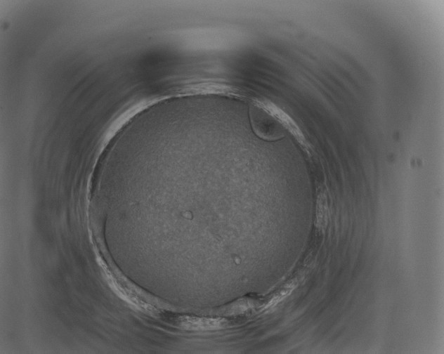 X0000085251039200703091253