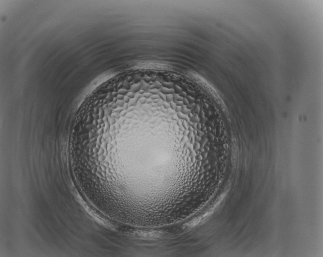 X0000085251041200703091253