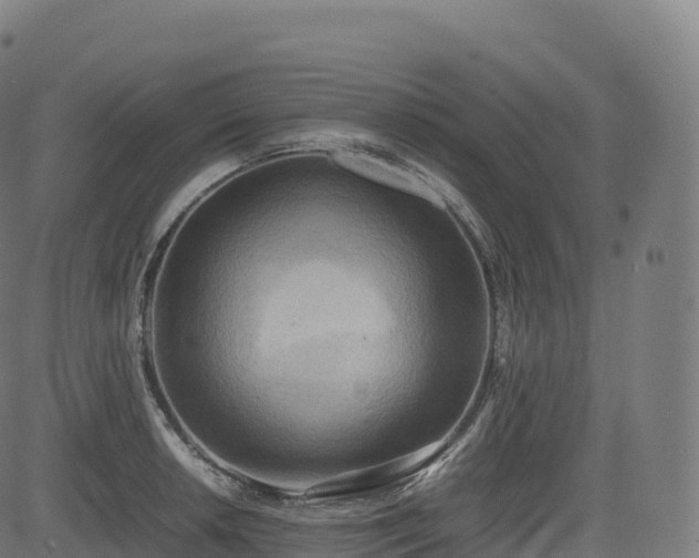 X0000085251042200703091253