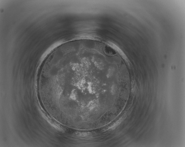 X0000085251043200703091253