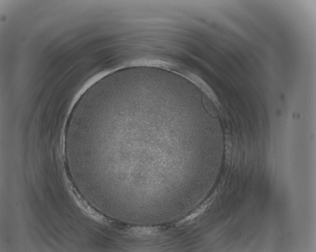 X0000085251044200703091253