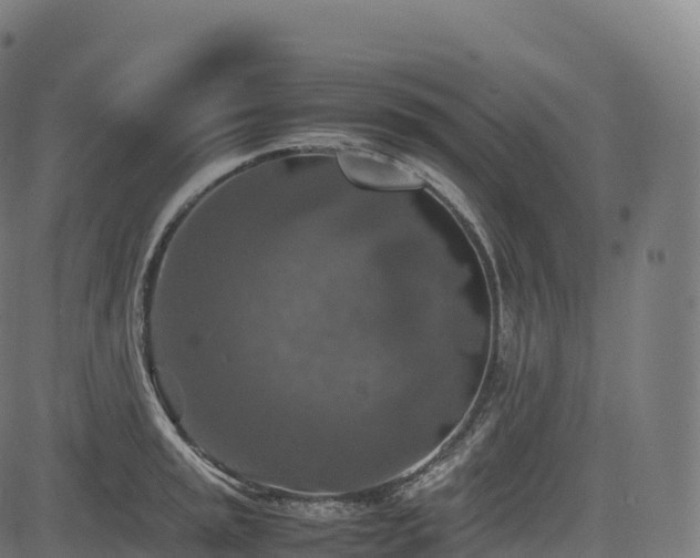 X0000085251045200703091253