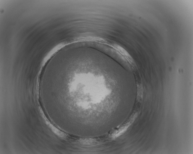 X0000085251046200703091253