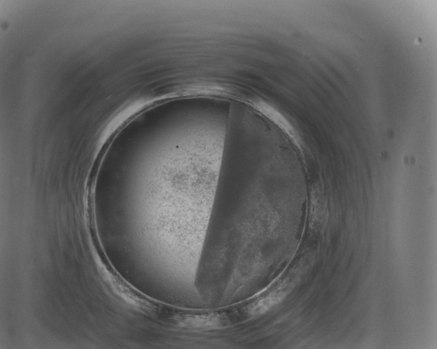 X0000085251047200703091253