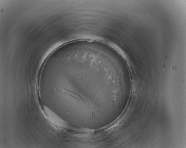 X0000085251048200703091253