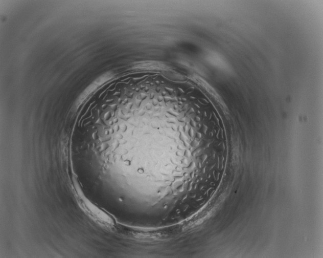 X0000085251049200703091253