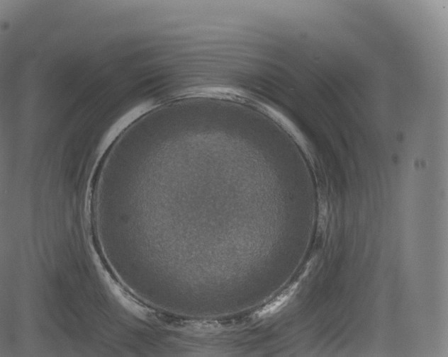 X0000085251050200703091253