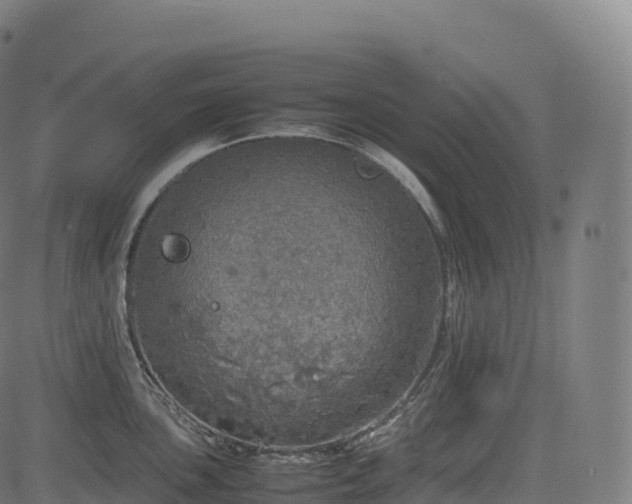 X0000085251051200703091253