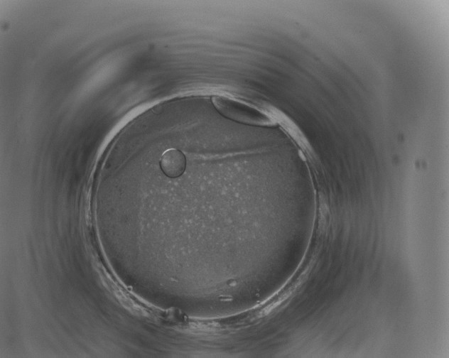 X0000085251052200703091253