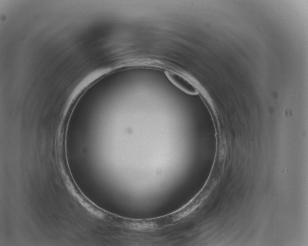 X0000085251053200703091253