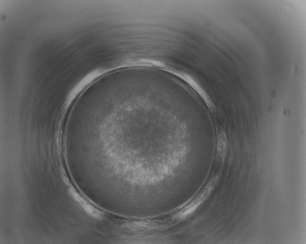 X0000085251054200703091253