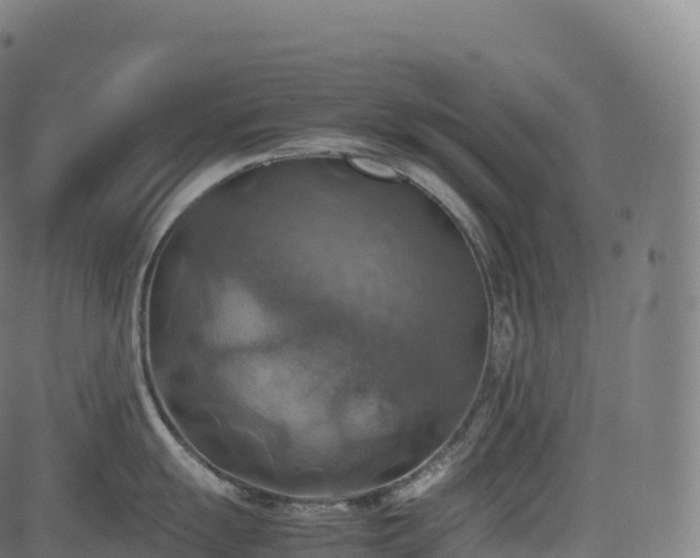 X0000085251055200703091253