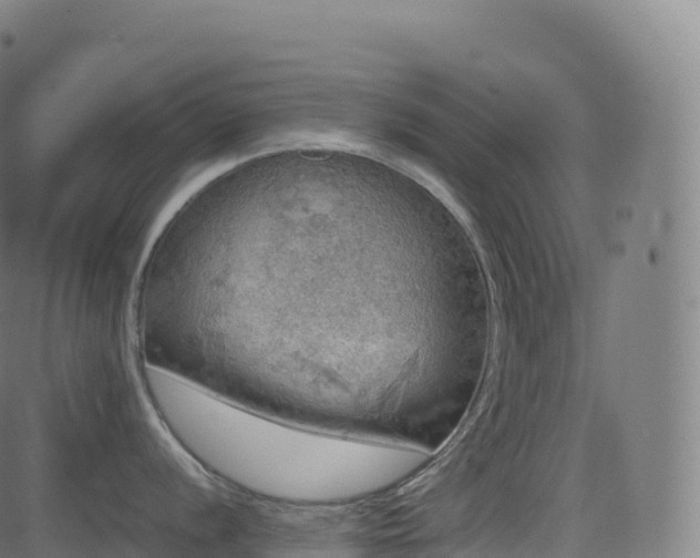 X0000085251056200703091253