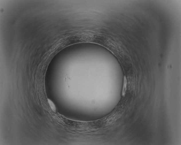 X0000085251057200703091252