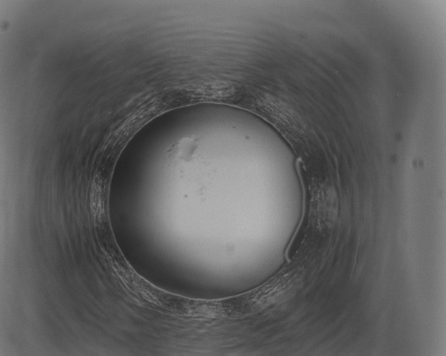 X0000085251058200703091252